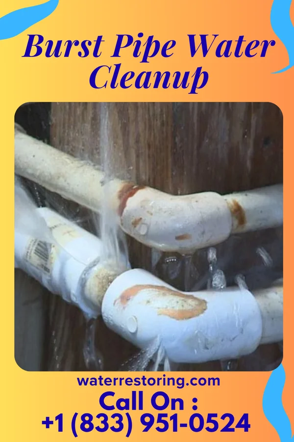 Burst Pipe Water Cleanup in Travis Ranch, TX