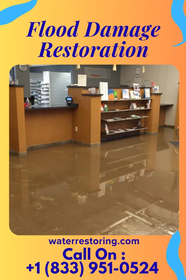 Flood Damage Restoration in Travis Ranch, TX
