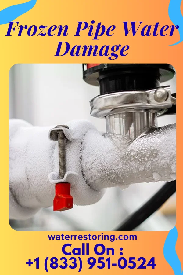 Frozen Pipe Water Damage in Travis Ranch, TX