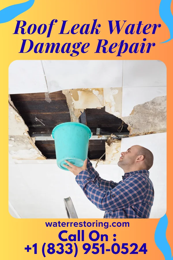 Roof Leak Water Damage Repair in Travis Ranch, TX