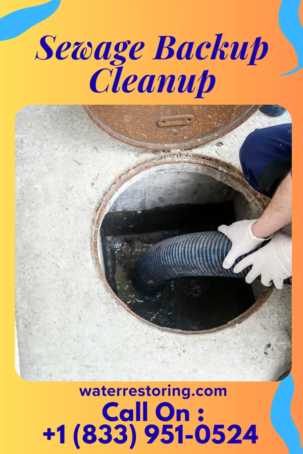 Sewage Backup Cleanup in Travis Ranch, TX