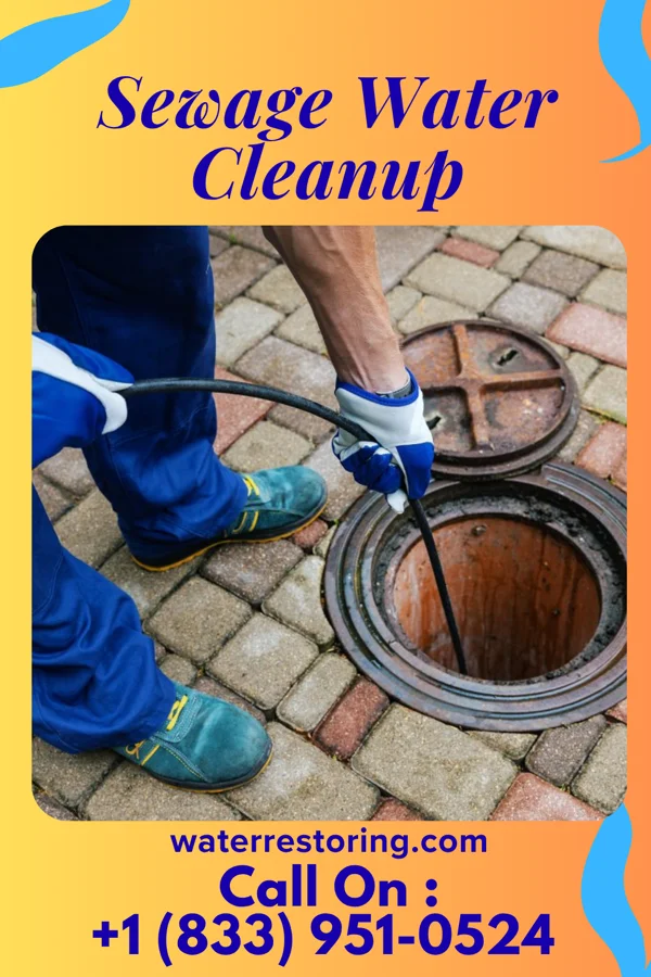 Sewage Water Cleanup in Travis Ranch, TX